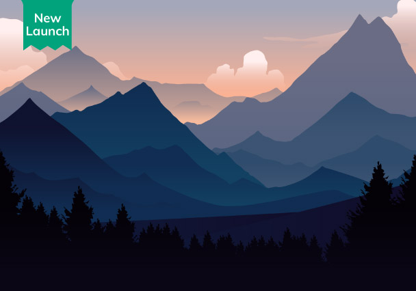 Online Vector Art Course with Adobe Illustrator | ProAlley